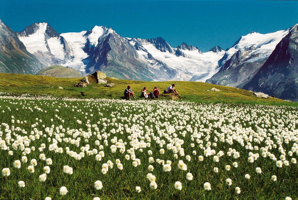 Villa Alpin Obergurgl Exteriör bild